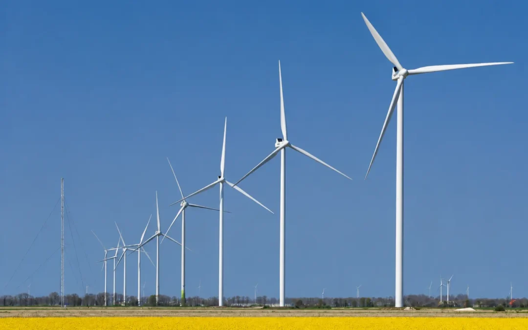 Hoe kies je een groene energieleverancier?